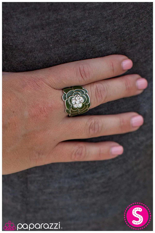 Paparazzi Ring ~ Cypress Cascade - Green