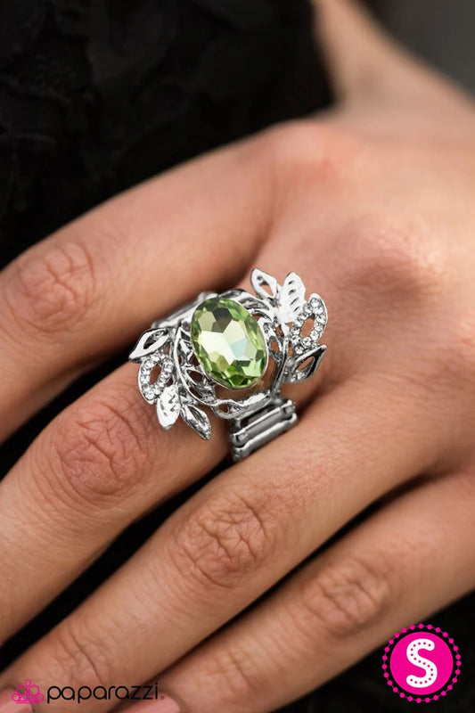 Anillo Paparazzi ~ Jardín Glamour - Verde