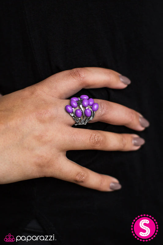 Paparazzi Ring ~ Tahiti Tango - Purple