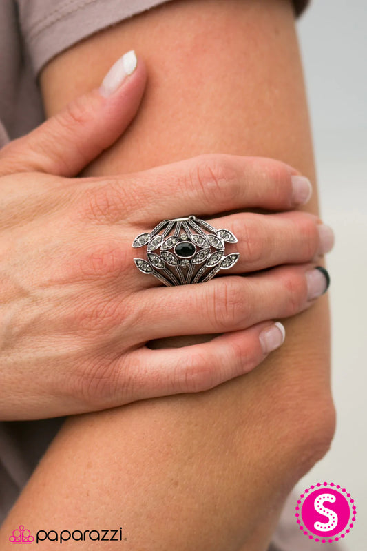 Paparazzi Ring ~ Garden Retreat - Black