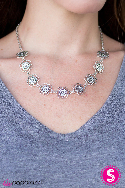 Collar Paparazzi ~ BLOOM Or Bust - Plata