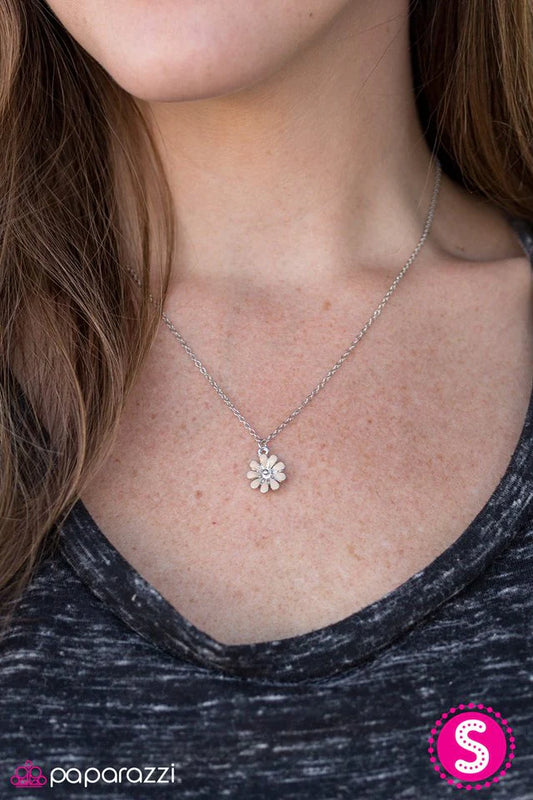 Collar Paparazzi ~ Floral Formal - Marrón