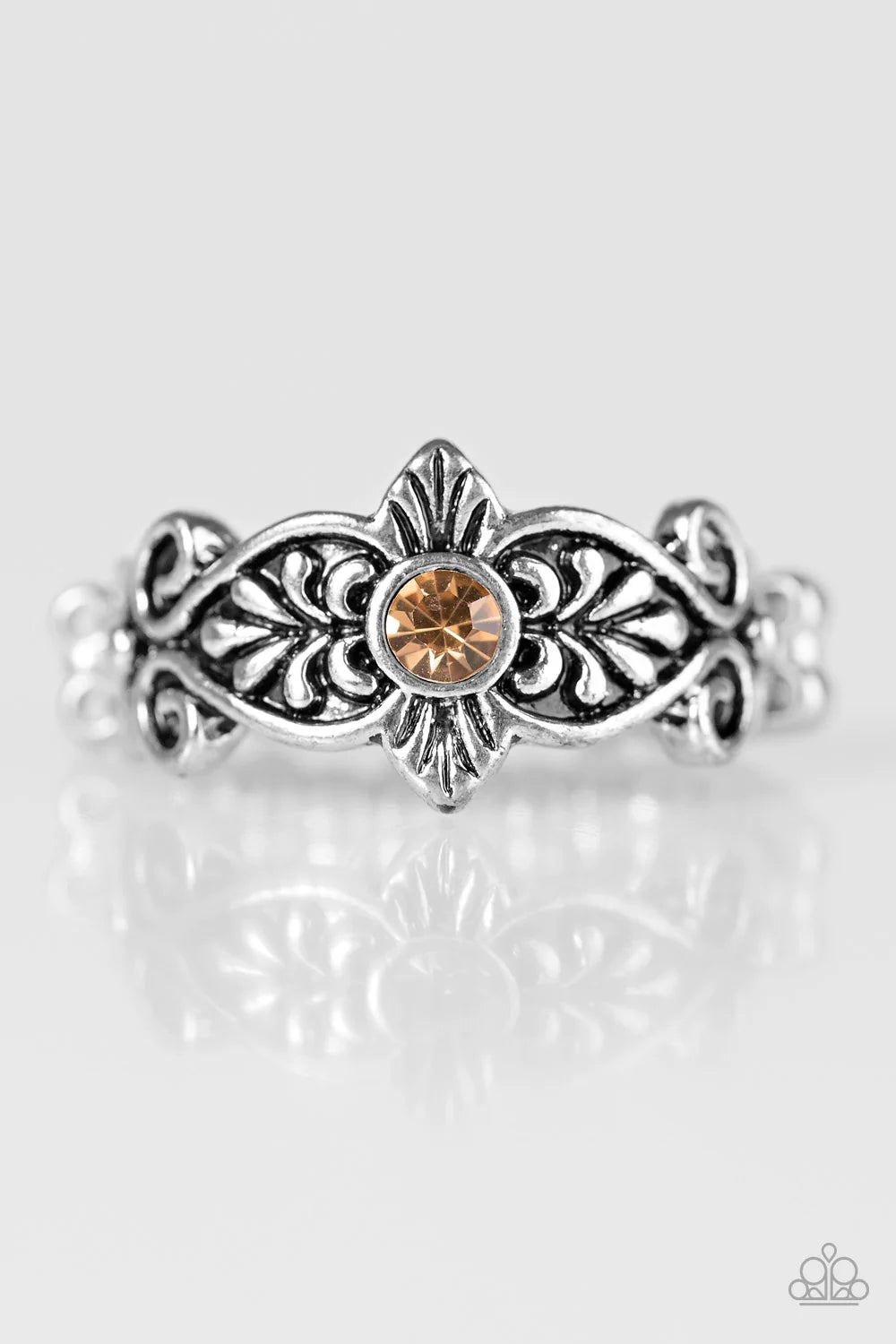 Paparazzi Ring ~ The Little Princess - Brown