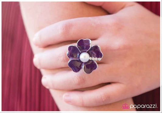 Anillo de paparazzi: no hagas escándalo, morado