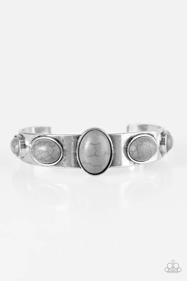 Pulsera Paparazzi ~ Leyes de la Naturaleza - Plata