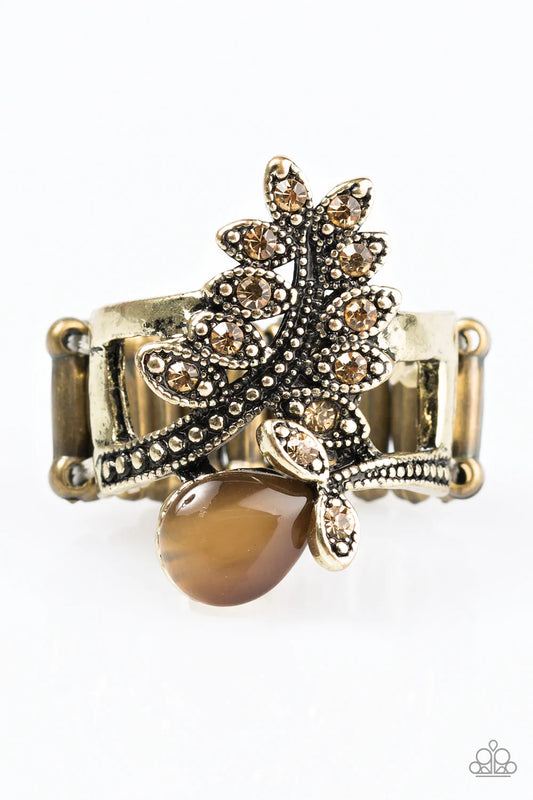 Paparazzi Ring ~ Amazingly Autumn - Brass