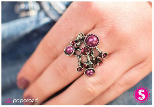 Paparazzi Ring ~ All the Trimmings - Purple