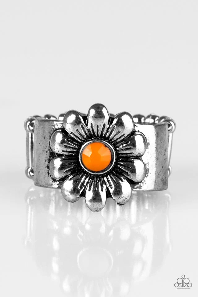 Paparazzi Ring ~ Dreamy Fields - Orange