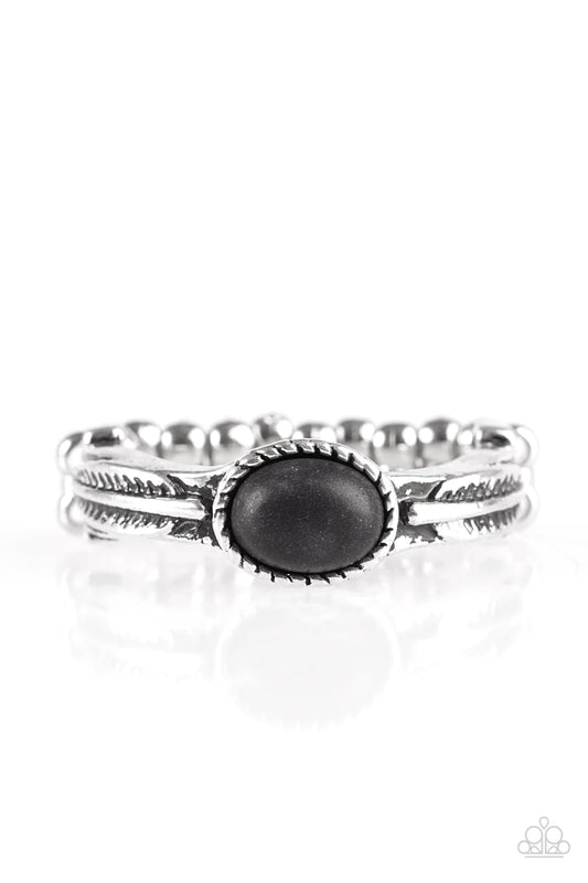 Paparazzi Ring ~ Gotta Fly - Black