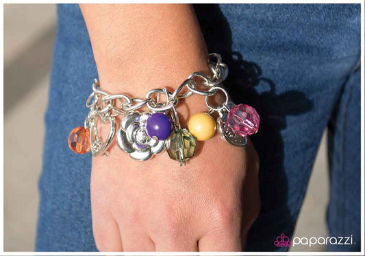 Paparazzi Bracelet ~ The Spice of Life - Multi