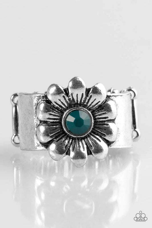 Paparazzi Ring ~ Dreamy Fields - Blue