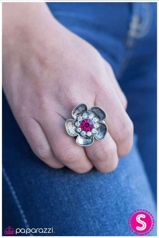 Anillo Paparazzi ~ A riesgo de lucir fabulosa - Rosa