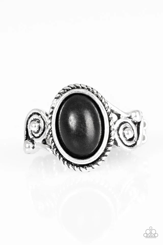 Anillo Paparazzi ~ Cactus Creek - Negro