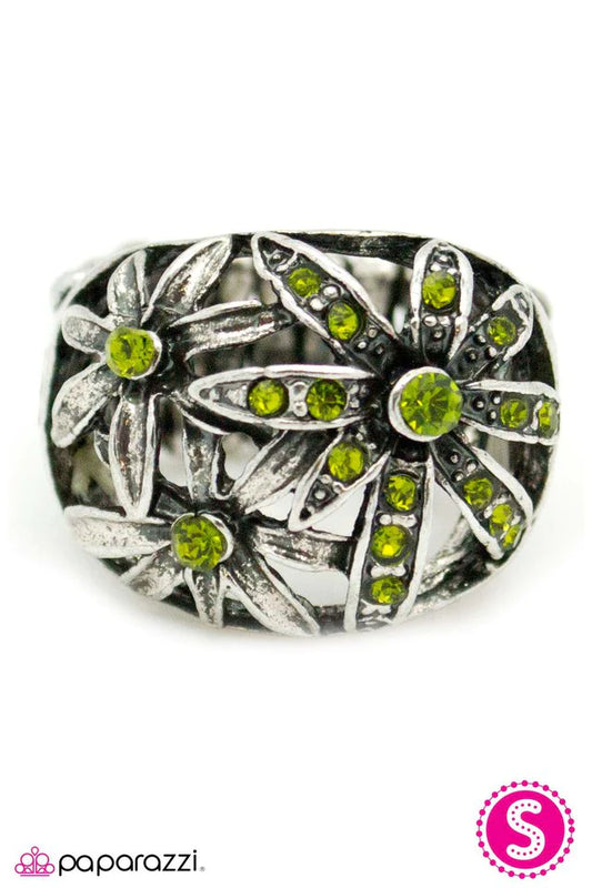 Paparazzi Ring ~ Staying Planted - Green