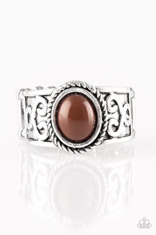 Paparazzi Ring ~ Totally Tidal - Brown