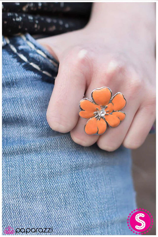 Anillo de paparazzi ~ Fruto de la floración - Naranja