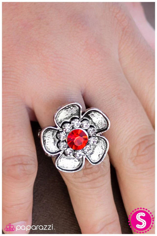 Paparazzi Ring ~ At the Risk of Looking Fabulous - Red