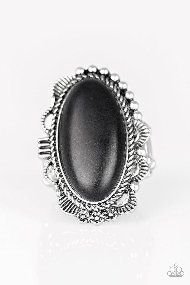 Paparazzi Ring ~ Open Range - Black