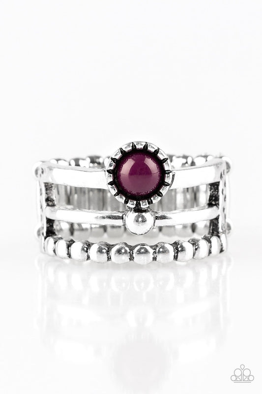 Paparazzi Ring ~ Summer Retreat - Purple