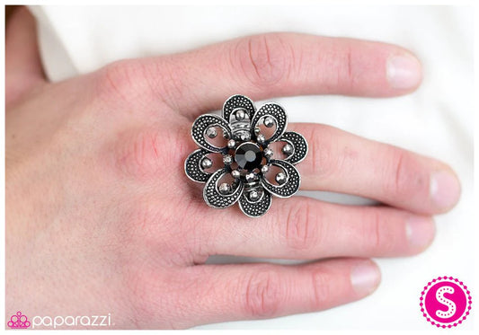 Paparazzi Ring ~ Growing Admiration - Black