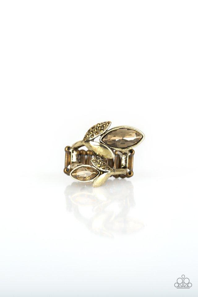 Paparazzi Ring ~ Flawless Foliage - Brass