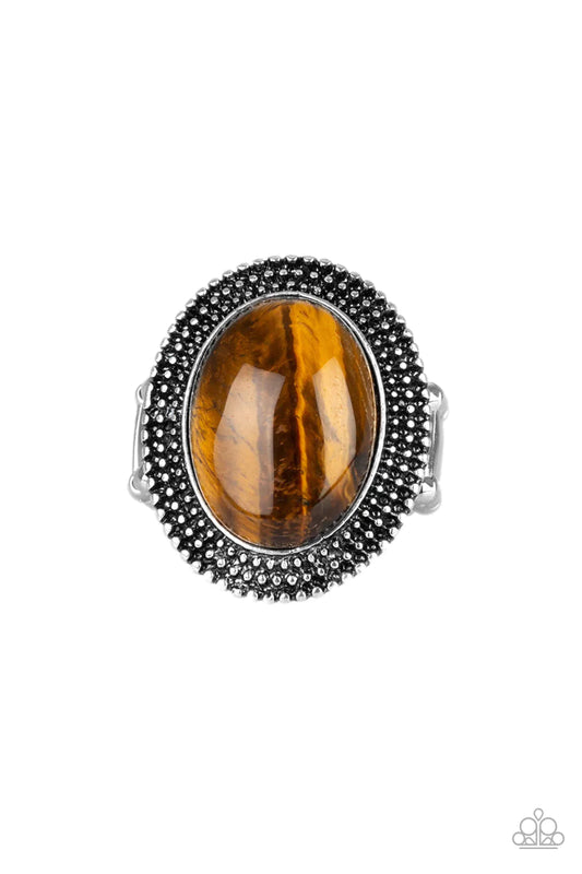 Paparazzi Ring ~ Outdoor Oasis - Brown