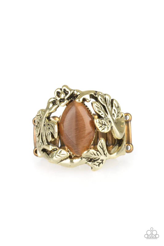 Paparazzi Ring ~ Tropical Flora - Brass