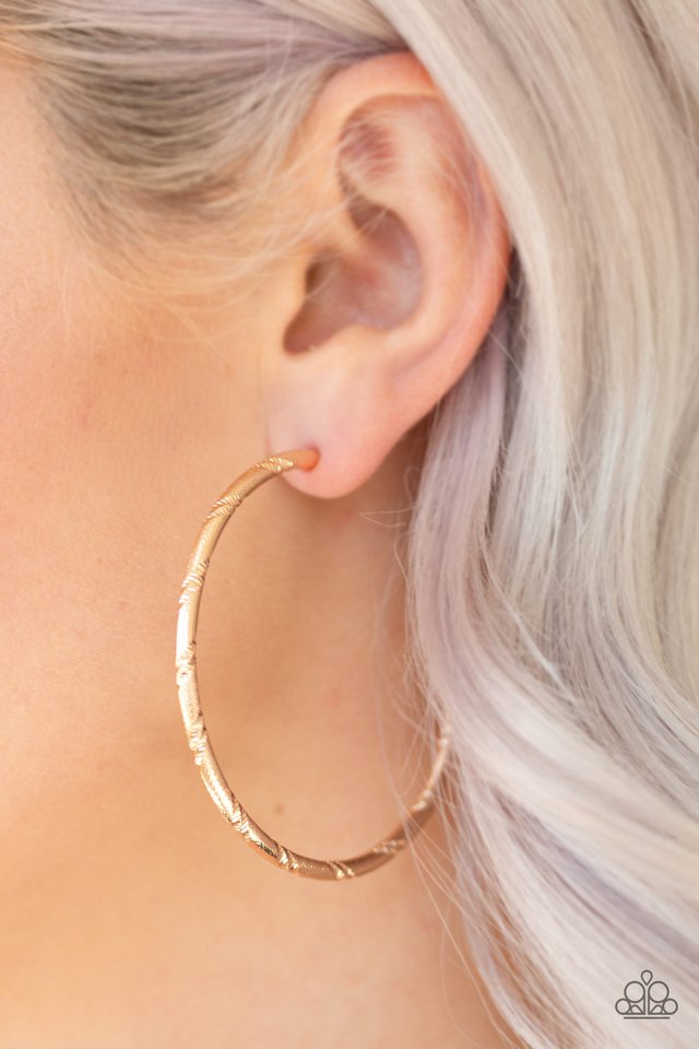 A Double Take - Gold - Paparazzi Earring Image