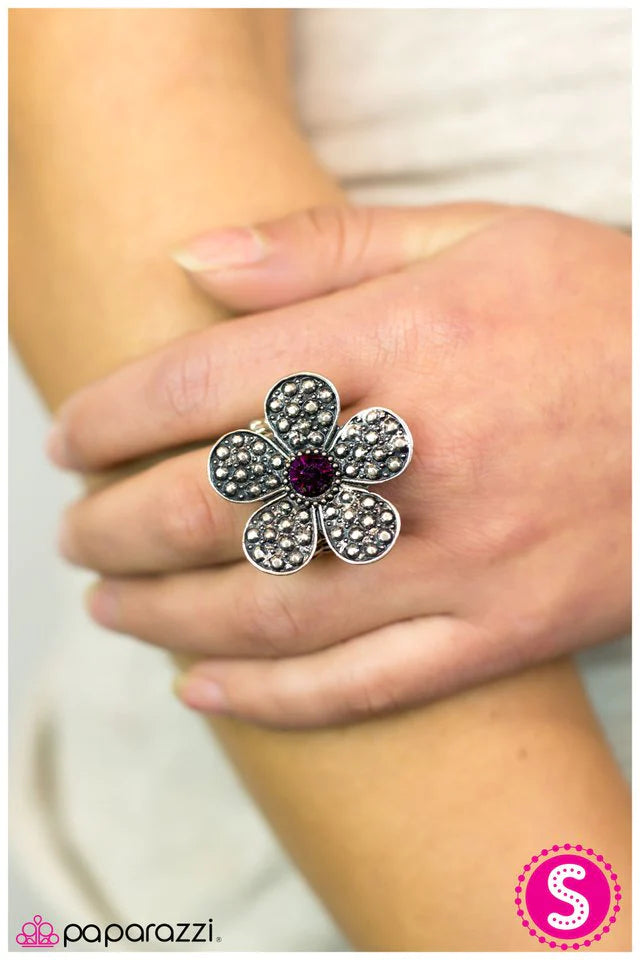 Paparazzi Ring ~ Haute and Heated - Purple