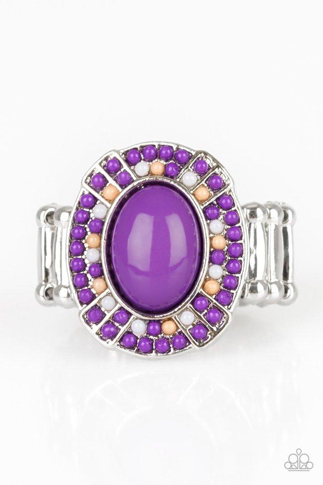 Paparazzi Ring ~ Colorfully Rustic - Purple