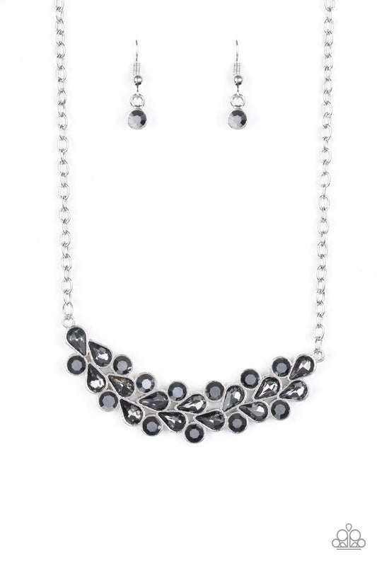 Collar Paparazzi ~ Tratamiento especial - Plata