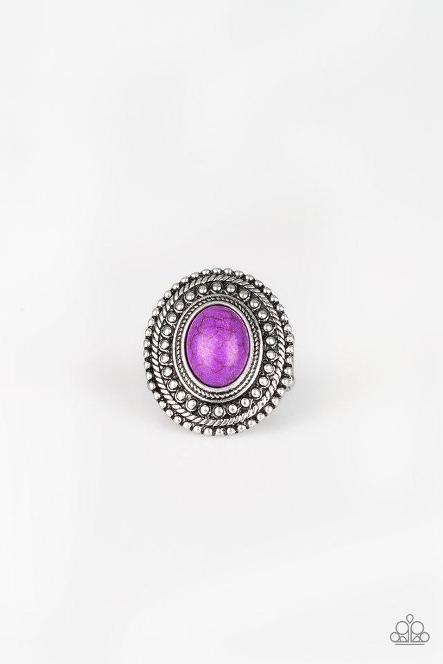 Paparazzi Ring ~ Terra Terrain - Purple
