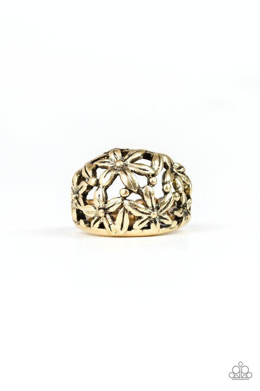 Paparazzi Ring ~ Haute Havana - Brass