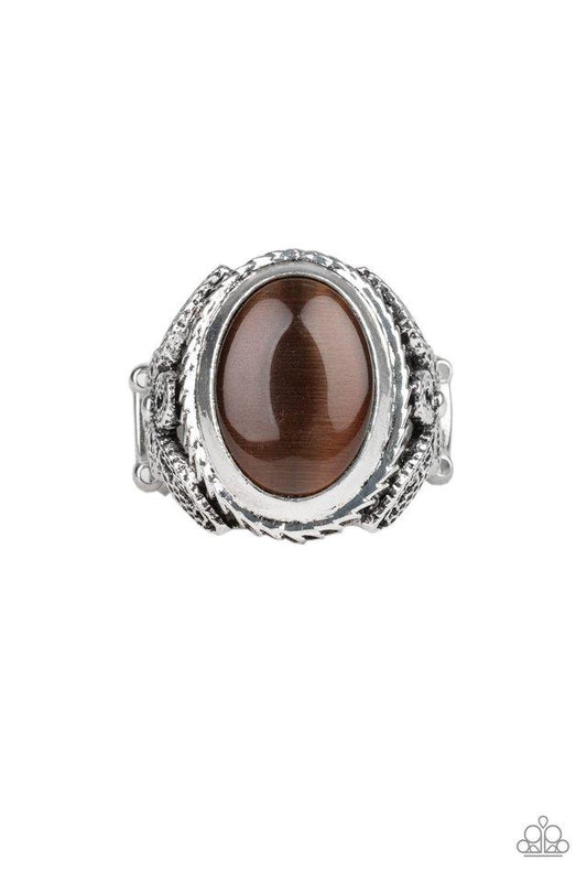 Paparazzi Ring ~ Deep Freeze - Brown