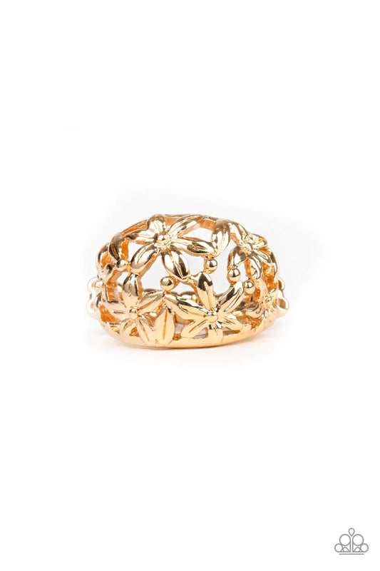 Paparazzi Ring ~ Haute Havana - Gold