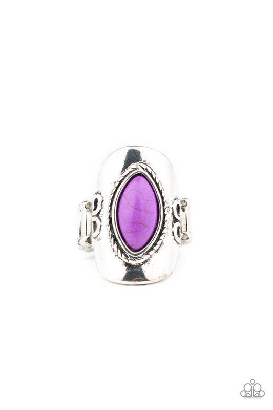 Paparazzi Ring ~ PLAIN Ride - Purple