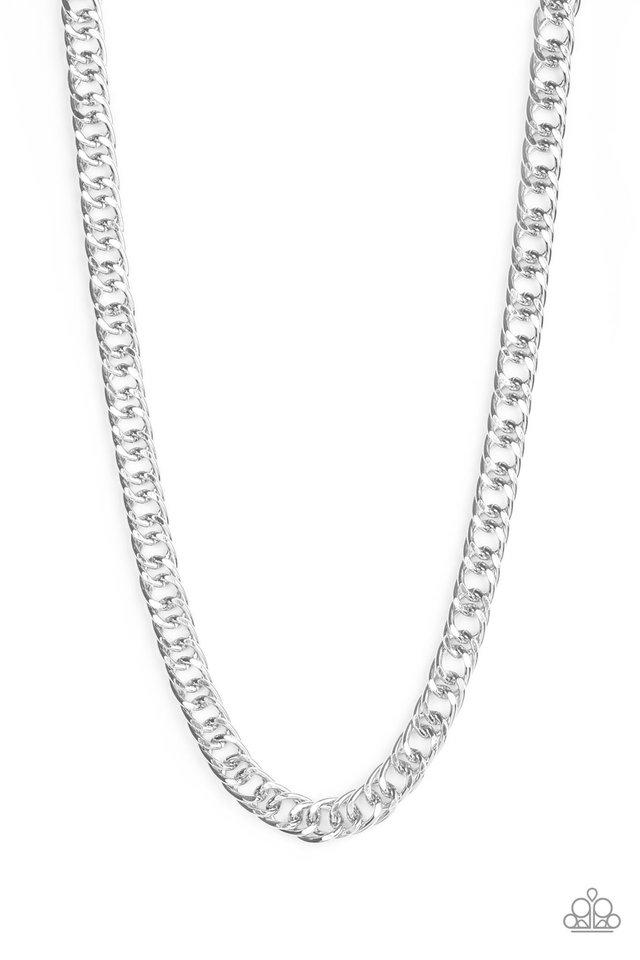 Paparazzi Necklace ~ Omega - Silver