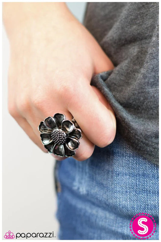 Anillo Paparazzi ~ Serenata de girasol - Plata