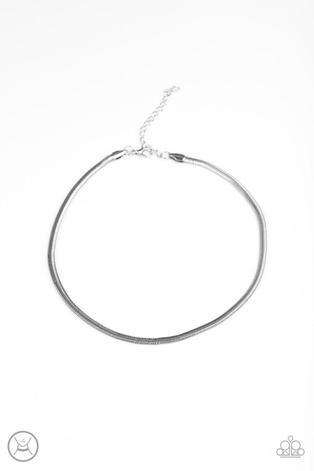 Flat Out Fierce - Silver - Paparazzi Necklace Image