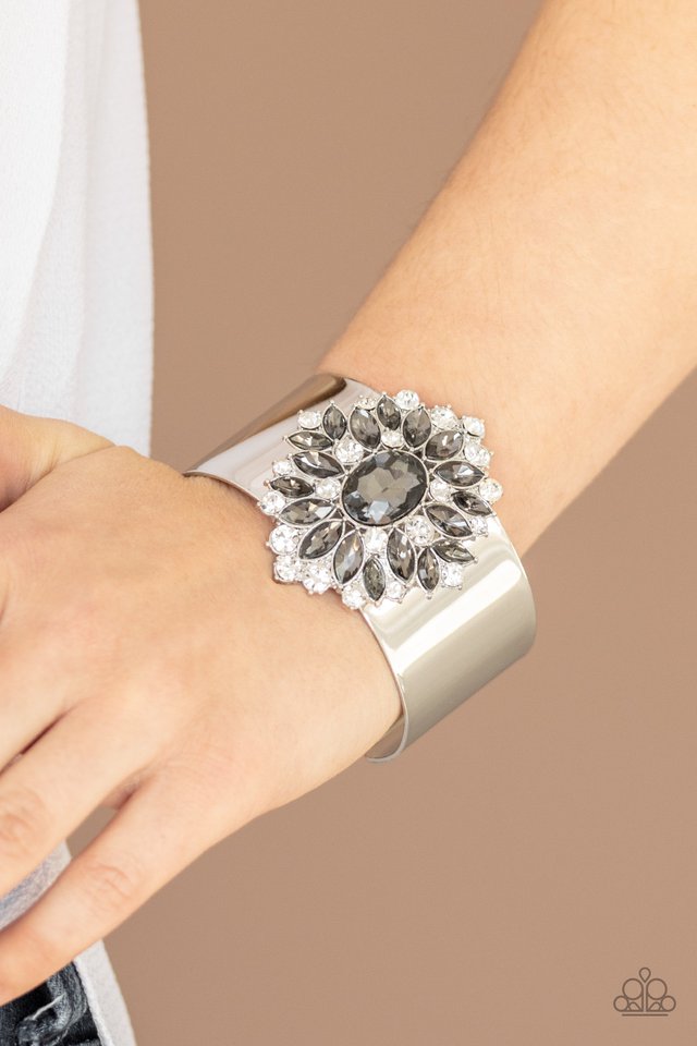 The Fashionmonger - Silver - Paparazzi Bracelet Image