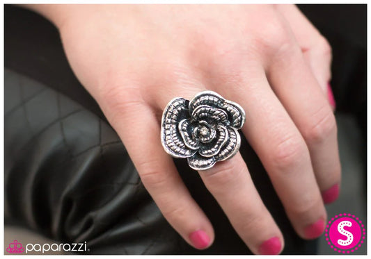 Anillo Paparazzi ~ Uncommon Ground - Plata