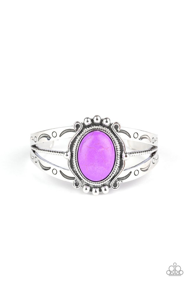 Very TERRA-torial - Purple - Paparazzi Bracelet Image