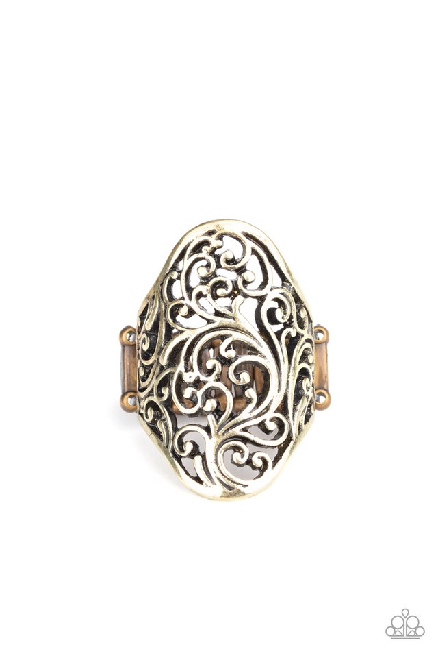 Vine Vibe - Brass - Paparazzi Ring Image