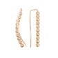 Climb On - Gold - Paparazzi Earring Image