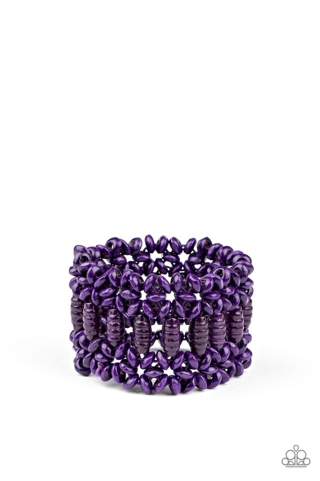 Fiji Flavor - Purple - Paparazzi Bracelet Image