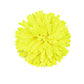 Neon Garden - Yellow - Paparazzi Hair Accessories Image