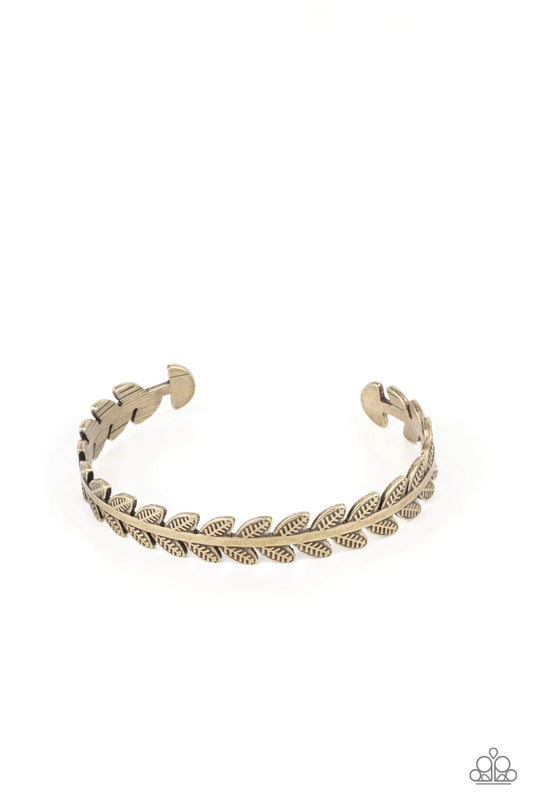 Paparazzi Bracelet ~ Laurel Groves - Brass