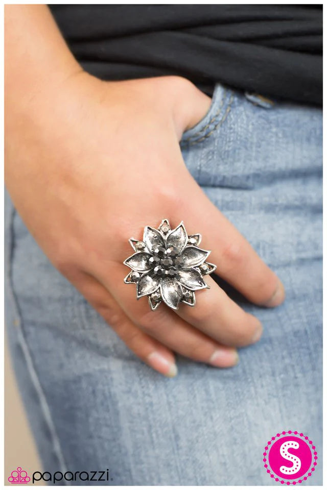 Paparazzi Ring ~ Bewitched - Silver