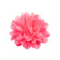 ​Blossom Blowout - Pink - Paparazzi Hair Accessories Image