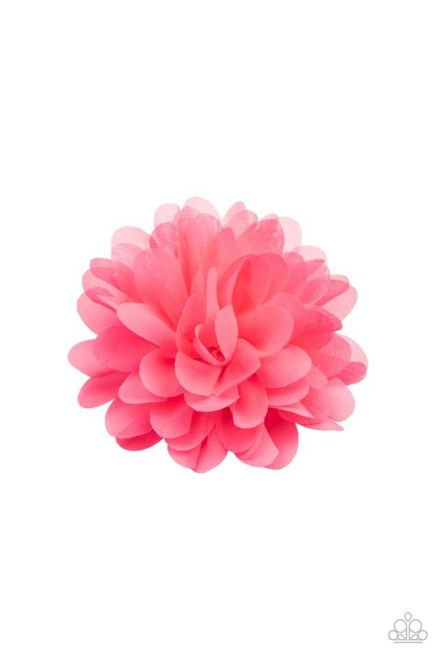 ​Blossom Blowout - Pink - Paparazzi Hair Accessories Image